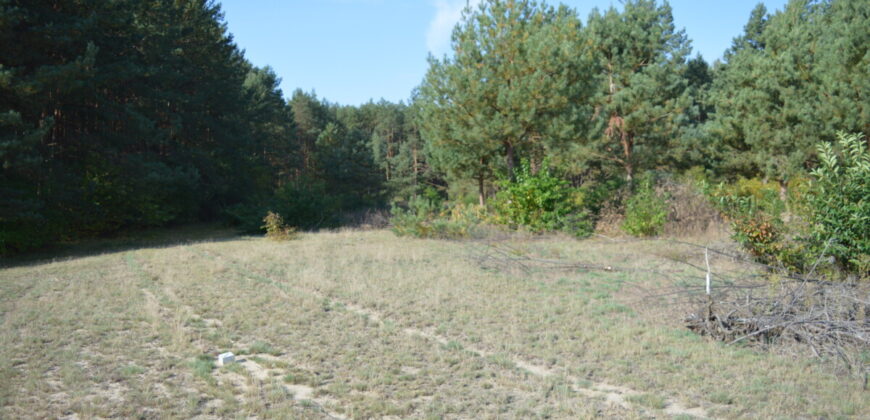 Działka budowlana * SPRZEDAŻ * Przyłęk* gm. Niwiska