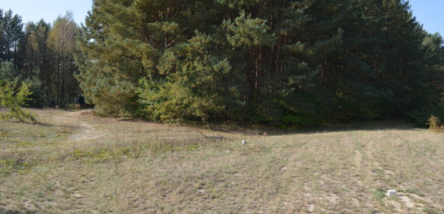 Działka budowlana * SPRZEDAŻ * Przyłęk* gm. Niwiska