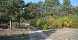 Działka budowlana * SPRZEDAŻ * Przyłęk* gm. Niwiska
