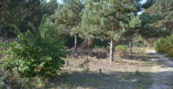 Działka budowlana * SPRZEDAŻ * Przyłęk* gm. Niwiska