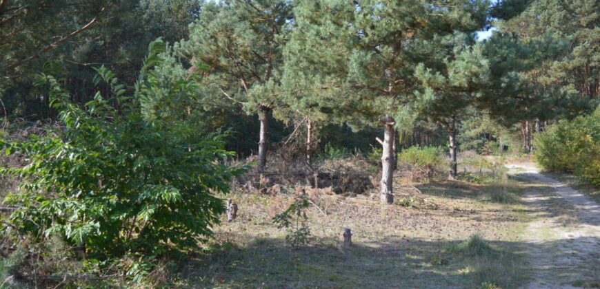 Działka budowlana * SPRZEDAŻ * Przyłęk* gm. Niwiska